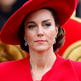 King Charles, Princess Kate