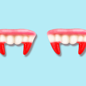 Vampire fangs teeth gummies on blue background.