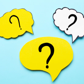 Easy Trivia Questions