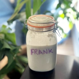 Sourdough Starter
