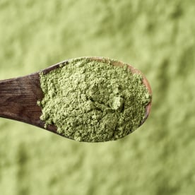 Barley grass powder rich in chlorophyll on a spoon