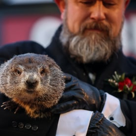 Did the Groundhog See His Shadow 2026?