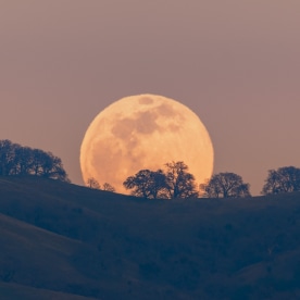 Full moon rising from behind a hill in the Diablo Mountain Range, in South San Francisco Bay Area, San Jose, California; visible distortion due to heat and pollution