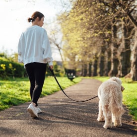 Woman walking dog in spring