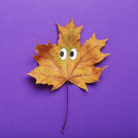 Fall Jokes