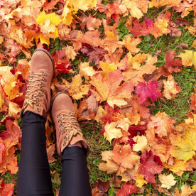 Fall Captions
