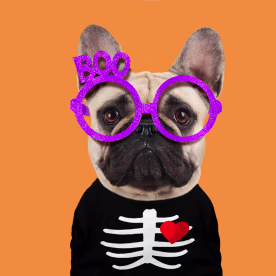 Halloween Puns