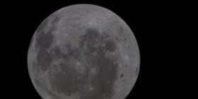 Post image 6
