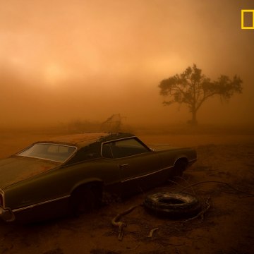 Image: National Geographic 2018 Photo Contest