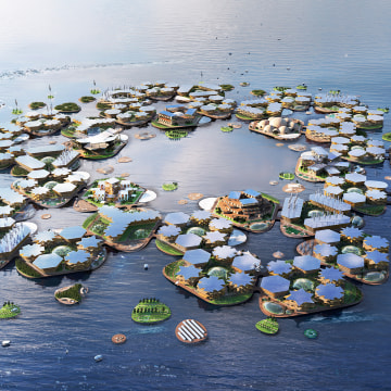 In calm, sheltered waters near coastal megacities, Oceanix City could be an adaptable and sustainable solution for human life on the ocean.