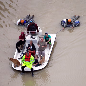 Image: Evacuees