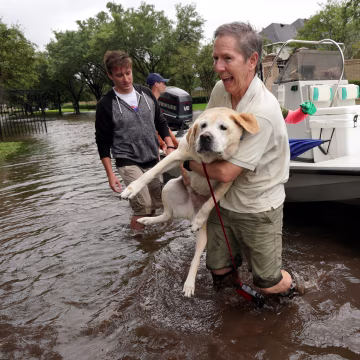 Image: Harvey Pets