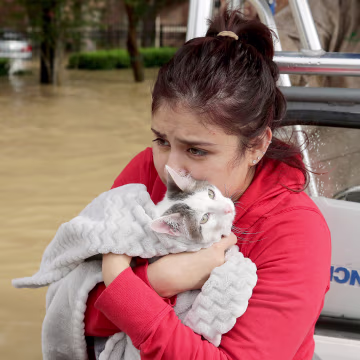 Image: Harvey Pets