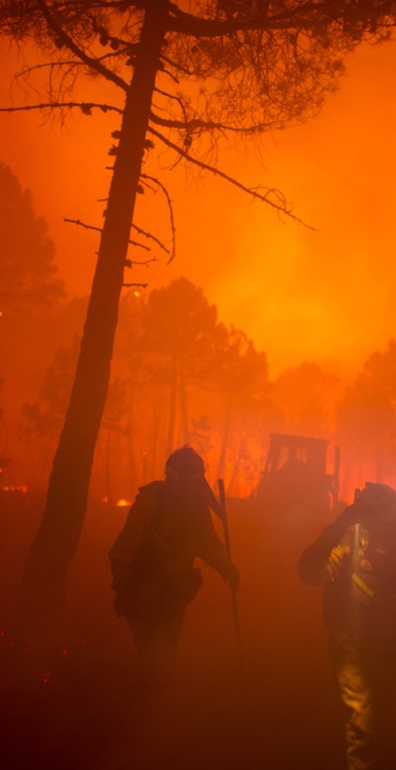 Image: Firefighters walk past trees during a wildfire in Tabuyo del Monte