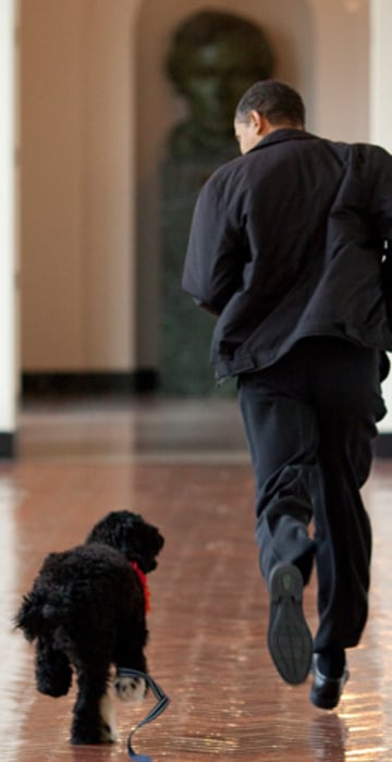 Obama family welcomes new puppy. (White House photo by Pete Souza)