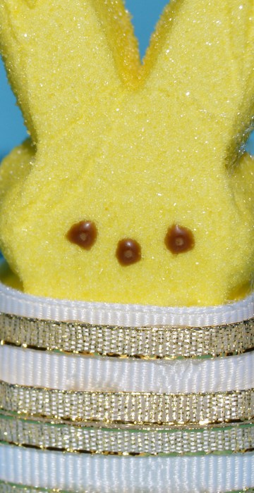 yellow peeps® plush toy & marshmallow bunnies gift set, Five Below