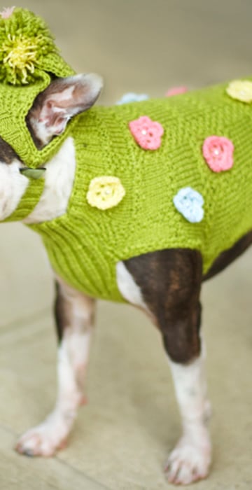 Brighten up winter chilly days with this sunny spring-welcoming sweater. Hand knitted specifically for your pampered pooch from a soft and warm wool/acrylic blended fabric.

Sweater is green with pink, yellow and blue flowers. This listing is for a SMALL to a MEDIUM size dog. The sweater is knitted to your dog's measurements, up to 15 inches in length. If you need a larger size or prefer it in a different color, please do not hesitate to contact me.