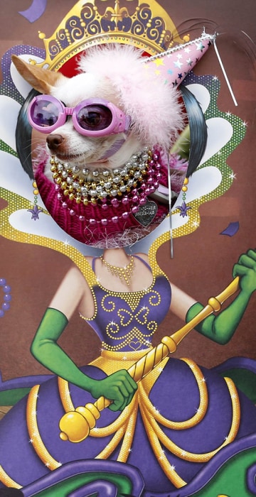 Image: Bianca wins Doggie Gras Parade and Fat Cat Tuesday Celebration in Rancho Santa Fe