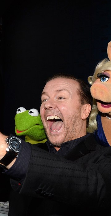 Image: Premiere Of Disney's \"Muppets Most Wanted\" - Red Carpet