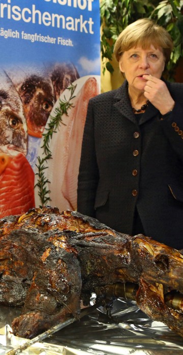 Image: German Chancellor Merkel visits her constituency's news year reception