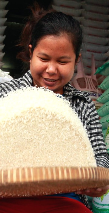 Image: Cambodia plans exporting one million tons of milled rice per year