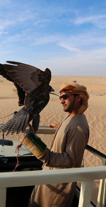 Image: UAE-FALCONRY-ANIMALS