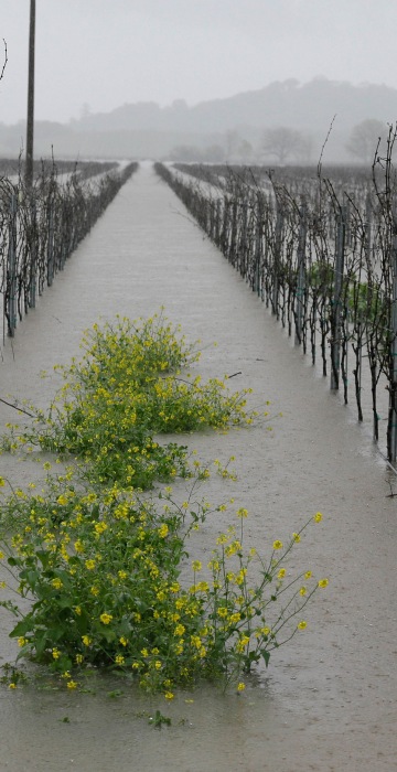 Image: California Storms