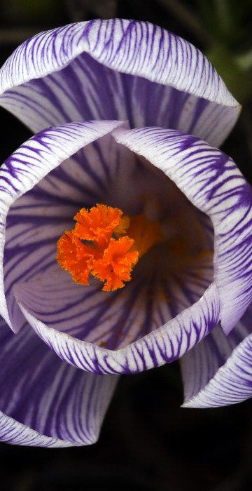 Image: Today in Pictures