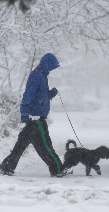 Image: Man and dog in snow