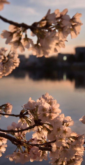 Image: