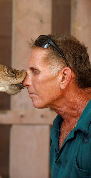 Image: Safari keeper Guy Pear gets a kiss from a five-day-old reticulated giraffe, at an enclosure at the Safari Zoo in Ramat Gan