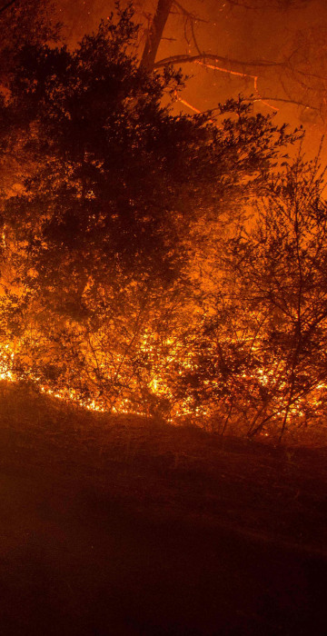Image: US-WILDFIRE