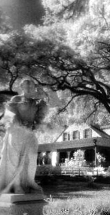 The Myrtles Plantation