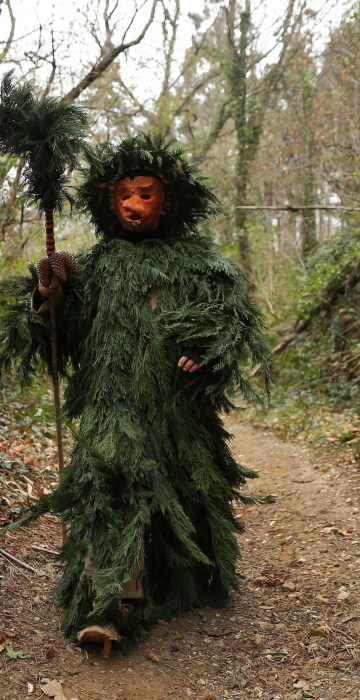 Image: TOPSHOT-SPAIN-CARNIVAL-NATURE-VIJANERA