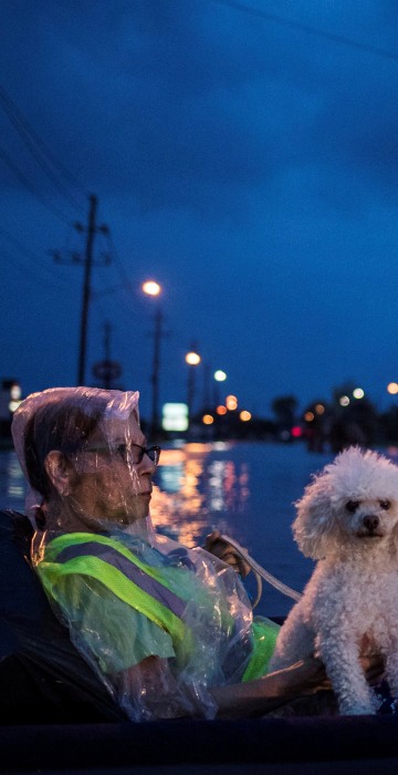 Image: A woman and her poodle wait to be rescued while floating on an air mattress in floodwaters from Tropical Storm Harvey