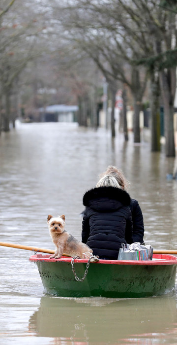 Image: Local residents and their dog go down a flooded stree