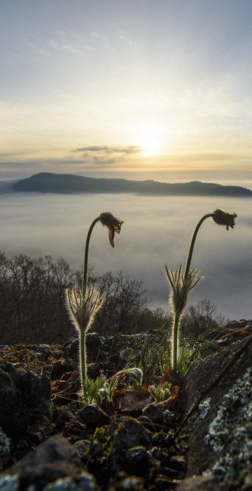 Image: Spring in Slovakia