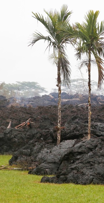 Image: Lava cools in a resident's yard in the Leilani Estates subdivision during ongoing eruptions of the Kilauea Volcano
