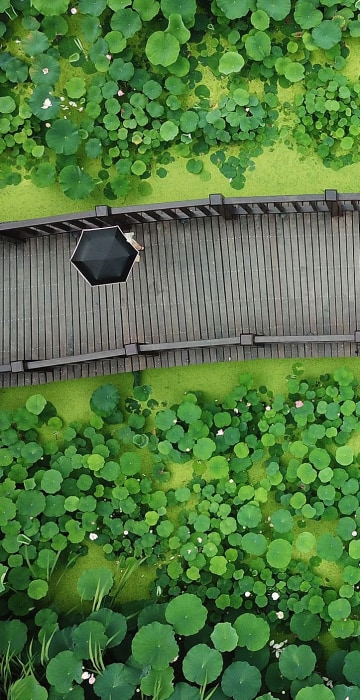 Image: TOPSHOT-CHINA-LIFESTYLE-NATURE
