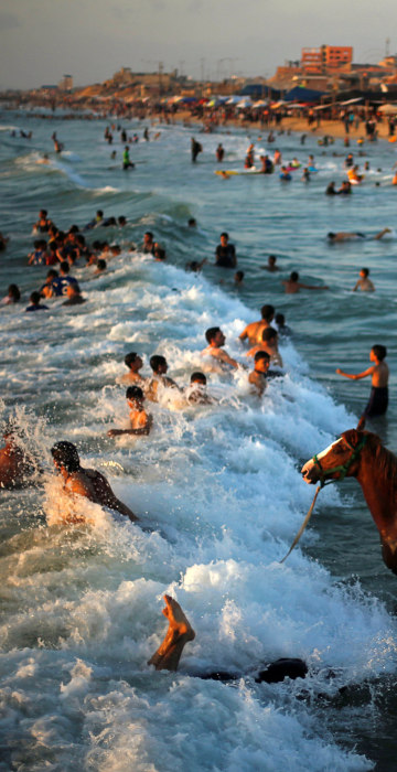 Image: Palestinian man washes his horse in the waters of the Mediterranean Sea as people swim on a hot day in the northern Gaza Strip