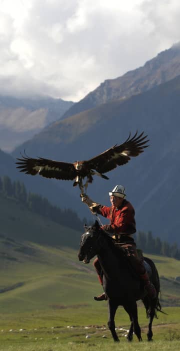 Image: A mounted Kyrgyz berkutchi holds his golden eagle during the World Nomad Games 2016