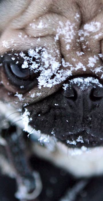 Image: Snow in Germany
