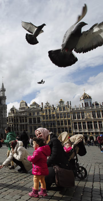 Image: Pigeons take flight as tourists feed them in the Grand Place in Brussels