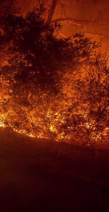 Image: US-WILDFIRE