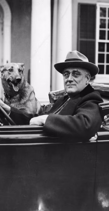 Image: FDR Behind The Wheel with his dog