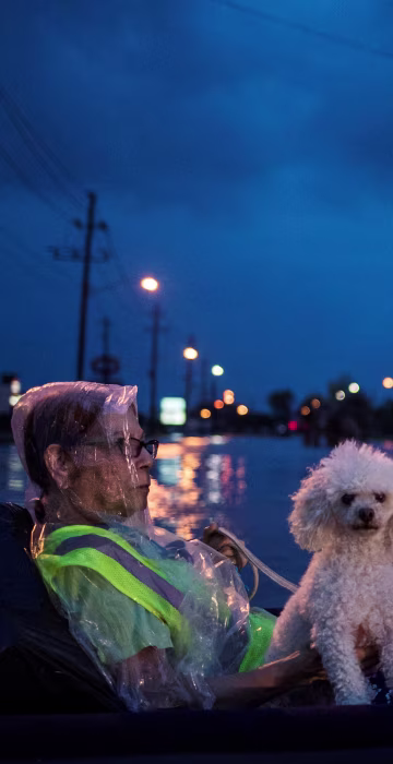 Image: A woman and her poodle wait to be rescued while floating on an air mattress in floodwaters from Tropical Storm Harvey