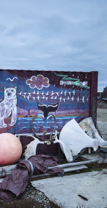 Image: Threatened Polar Bears Find Sanctuary in Alaskan Village