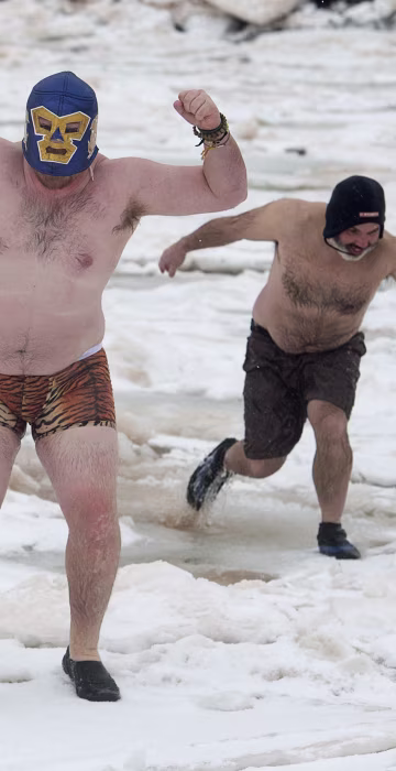 Image: polar bear dip