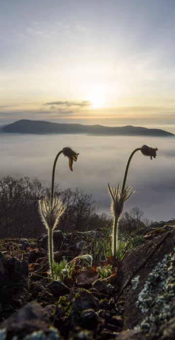 Image: Spring in Slovakia