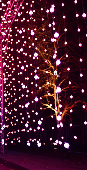 Image: Kew Gardens unveils Christmas illumiunated trail in London